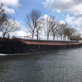 Tordino goed toegekomen in Oudenburg